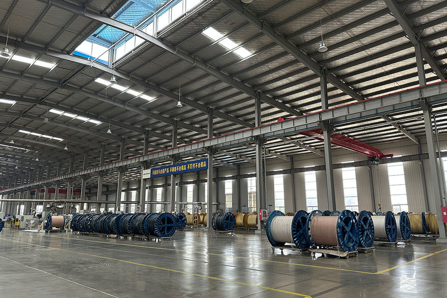 Jiayao Co., Ltd. linia produkcyjna producenta